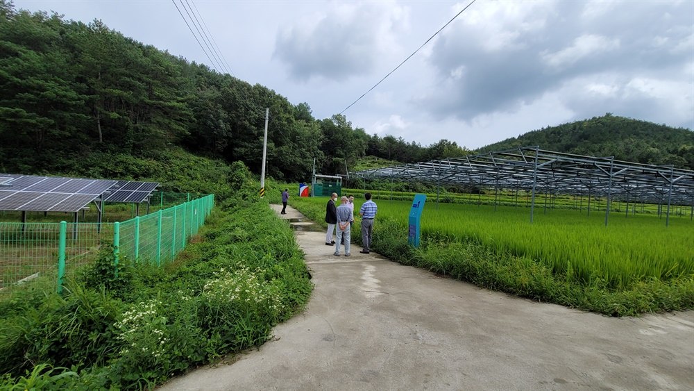 논 위에 세워진 영농형 태양광 발전소. 한쪽에선 벼가 자라고, 농민들이 현장을 둘러보고 있다.